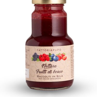 Nettare di Frutti di Bosco